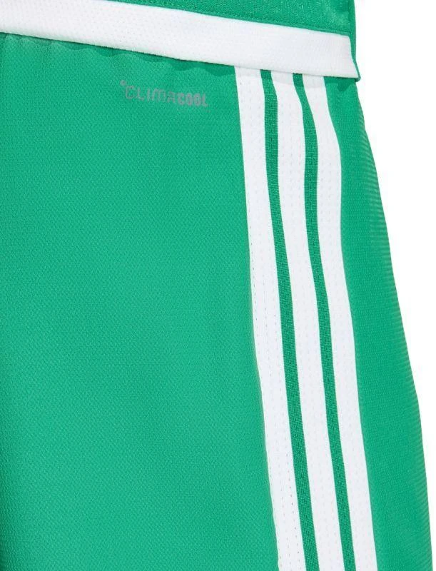 Vyriški adidas Tiro 26 Competition Match Day šortai, žali, KA6175