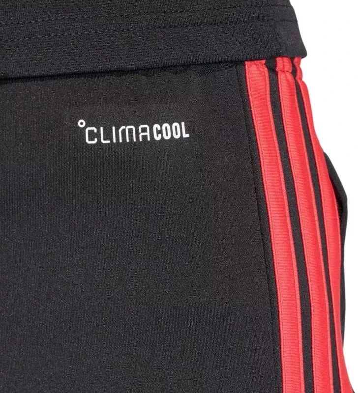 Vyriški adidas Tiro 26 League treniruočių šortai Juodi ir Raudoni JY9716