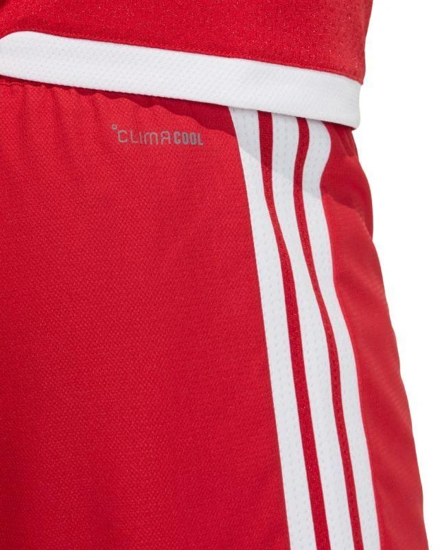 Vyriški adidas Tiro 26 varžybiniai šortai, raudoni ir balti, KA6179