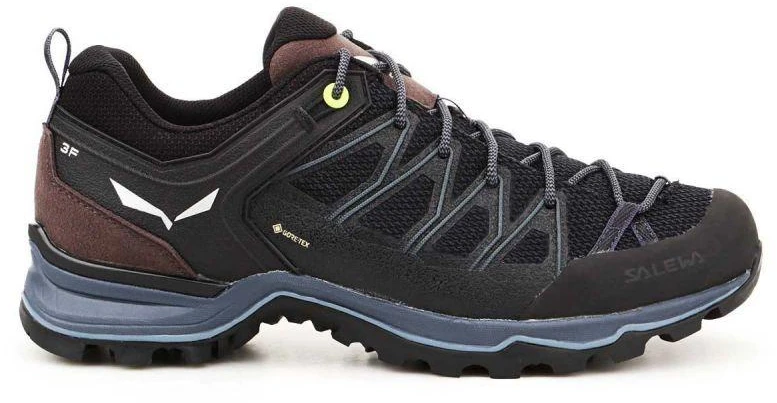 Vyriški batai Salewa Mtn Trainer Lite GTX M 61361-0971