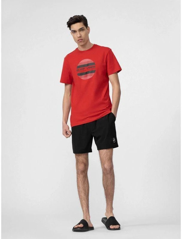 Vyriški boardshorts 4F 4FWSS24UBDSM123-20S