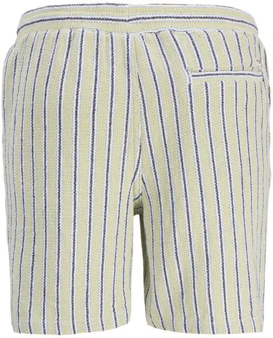 Vyriški dryžuoti „Jack&Jones“ šortai JPSTJAIDEN COBA STRIPE JOG SHORTS REG SN 12274413 TEA/STRIPES