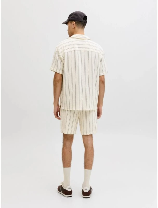 Vyriški dryžuoti šortai Jack&Jones Coba Stripe, balkšvi