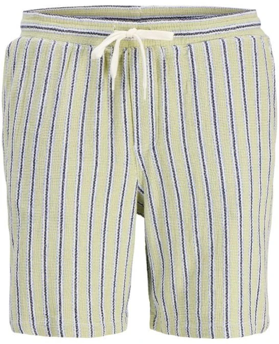 Vyriški dryžuoti šortai Jack&Jones Jaiden Coba Stripe
