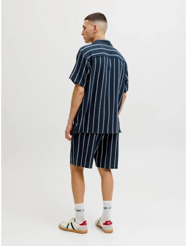 Vyriški dryžuoti šortai Jack&Jones JPSTJAIDEN COBA