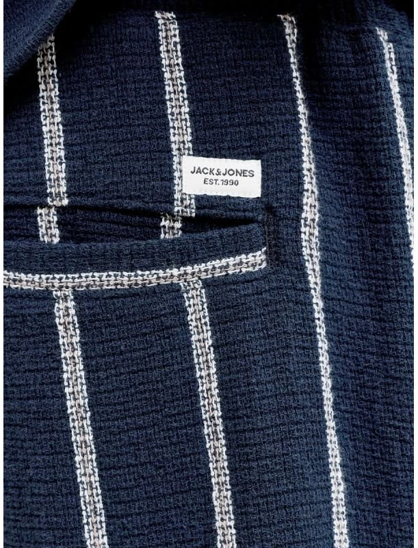 Vyriški dryžuoti šortai Jack&Jones JPSTJAIDEN COBA