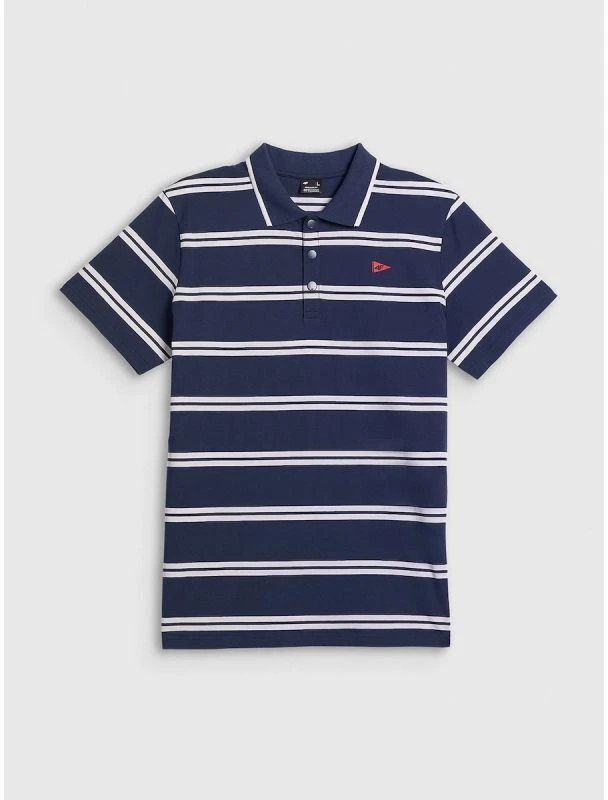 Vyriški laisvalaikio polo marškinėliai 4F 4FRSS26TPTSM0898-31S