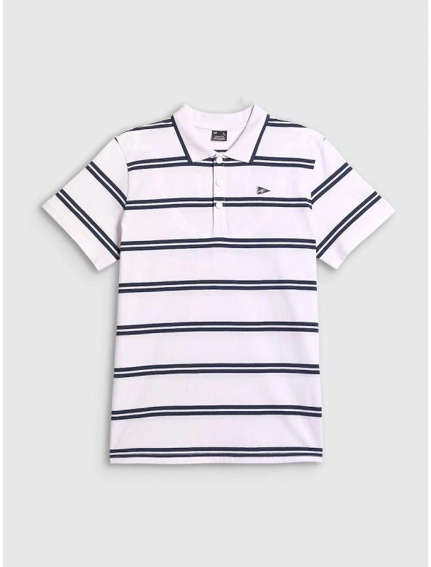 Vyriški laisvalaikio polo marškinėliai 4F 4FRSS26TPTSM0898-10S