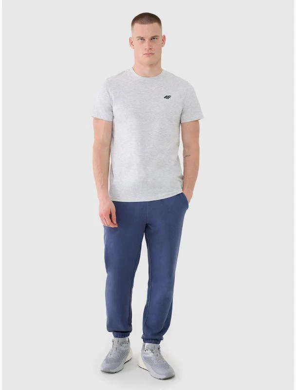 Vyriški marškinėliai (3 vnt. rinkinys) 4F 3P-SS-4FWMM00TTSHM2256-91S 3PACK