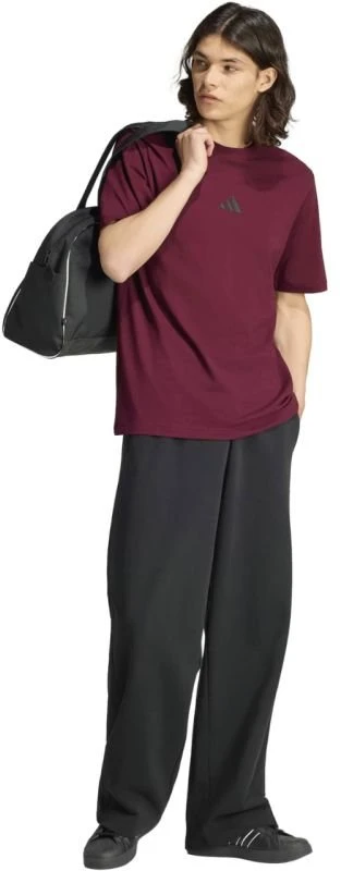 Vyriški marškinėliai adidas Essentials Small Logo, bordo