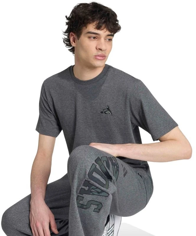 Vyriški marškinėliai adidas, pilki