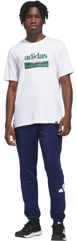 Vyriški marškinėliai adidas Sportsman Mountain Graphic, balti, KC9254