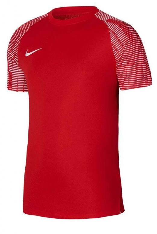 Vyriški marškinėliai Nike Dri-Fit Academy SS M DH8031-657
