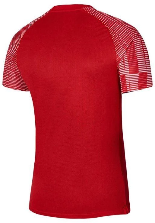 Vyriški marškinėliai Nike Dri-Fit Academy SS M DH8031-657