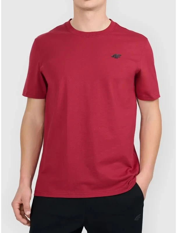 Vyriški marškinėliai su spauda 4F, S–5XL