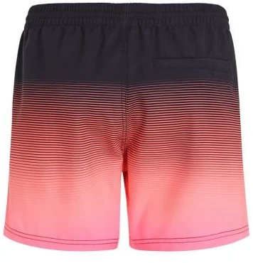 Vyriški maudymosi šortai O'Neill Jack Cali Gradient, 15 colių