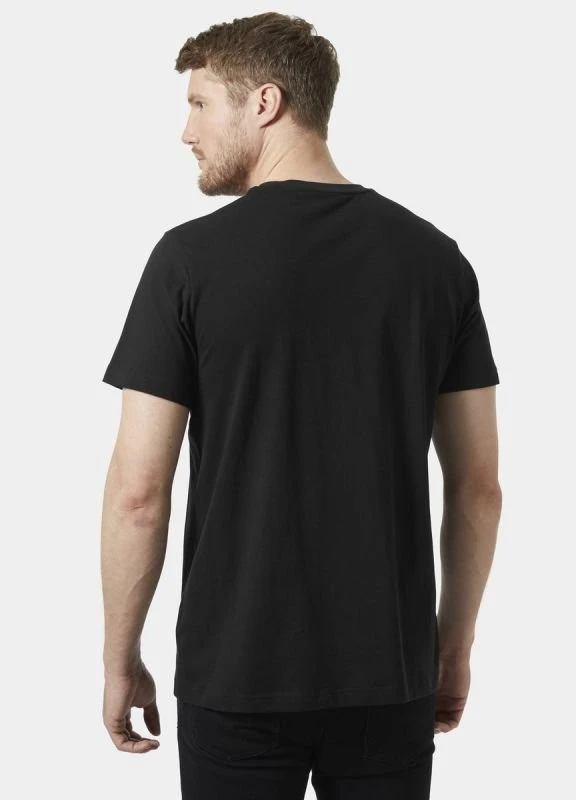 Vyriški medvilniniai marškinėliai Helly Hansen HH Core 2.0