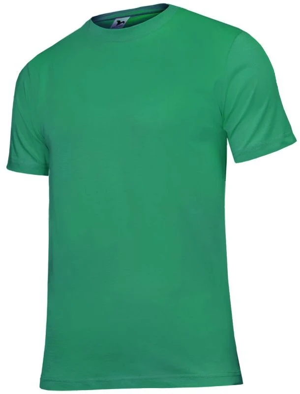 Vyriški medvilniniai marškinėliai Malfini Classic New, 145 g/m², žali