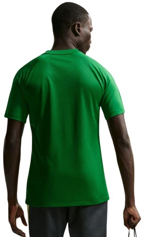 Vyriški Nike Dri-Fit Park VIII marškinėliai žali HV8173 302