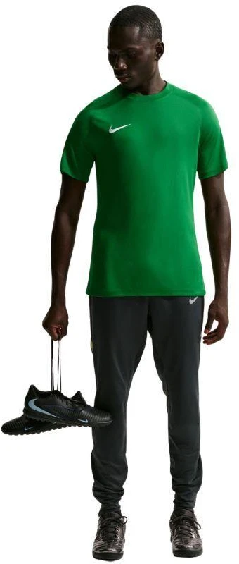 Vyriški Nike Dri-Fit Park VIII marškinėliai žali HV8173 302