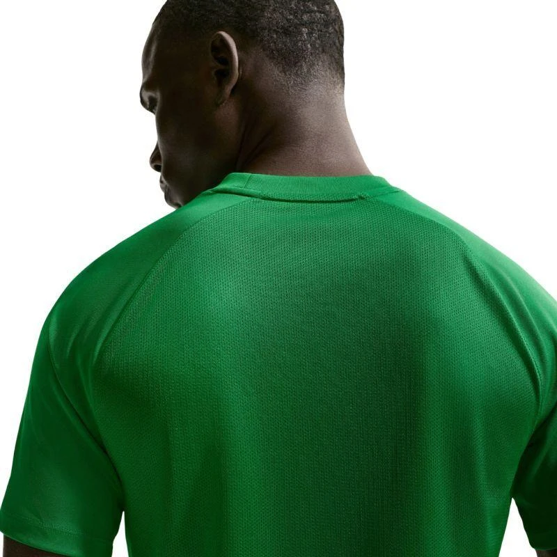 Vyriški Nike Dri-Fit Park VIII marškinėliai žali HV8173 302
