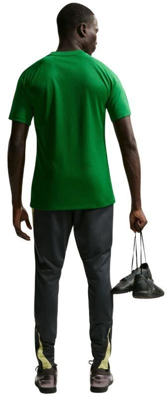 Vyriški Nike Dri-Fit Park VIII marškinėliai žali HV8173 302