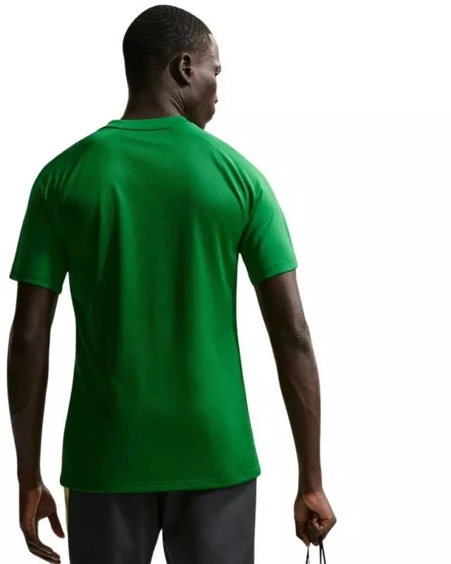 Vyriški Nike Dri-Fit Park VIII marškinėliai žali HV8173 302