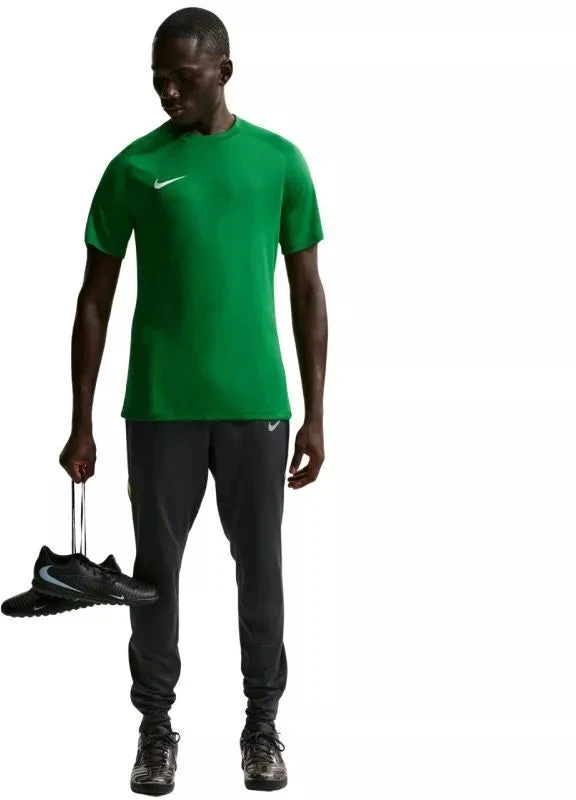 Vyriški Nike Dri-Fit Park VIII marškinėliai žali HV8173 302