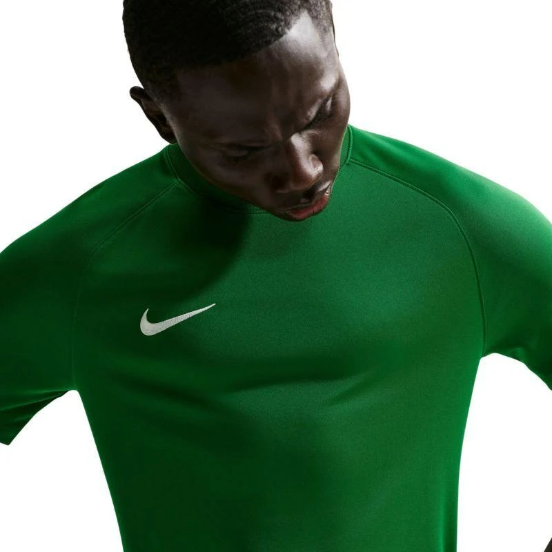 Vyriški Nike Dri-Fit Park VIII marškinėliai žali HV8173 302