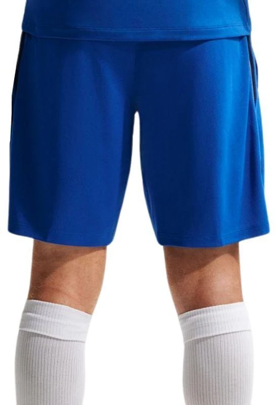 Vyriški „Nike“ Prancūzijos futbolo rinktinės „Dri-Fit FFF Strike“ šortai, mėlyni, IB4609 480
