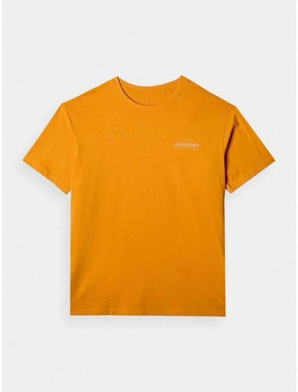 Vyriški oversize spausdinti marškinėliai 4F 4FRAW24TTSHM2578-70S