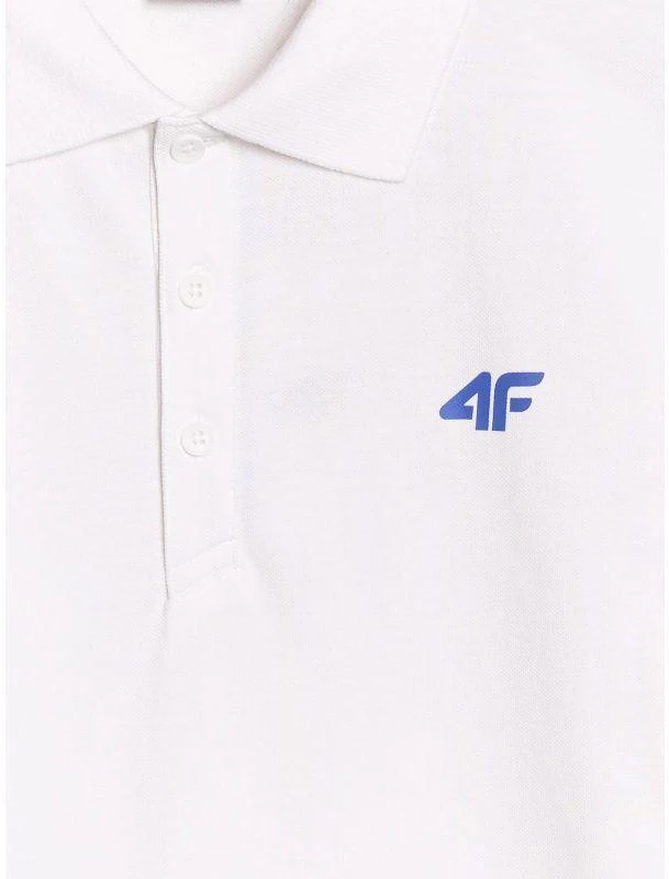 Vyriški polo marškinėliai 4F 4FWSS26TPTSM0988-10S