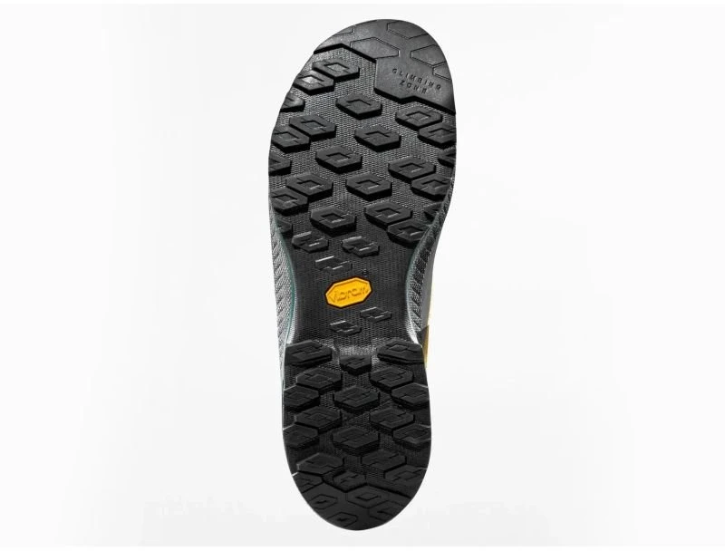 Vyriški priėjimo batai La Sportiva TX4 Evo GTX, Savana/Jungle