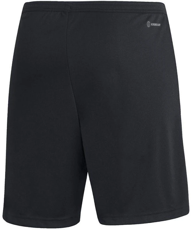Vyriški šortai Adidas Entrada 22 M H57504