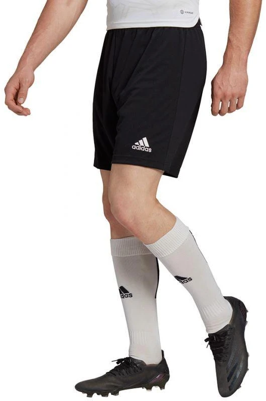 Vyriški šortai Adidas Entrada 22 M H57504