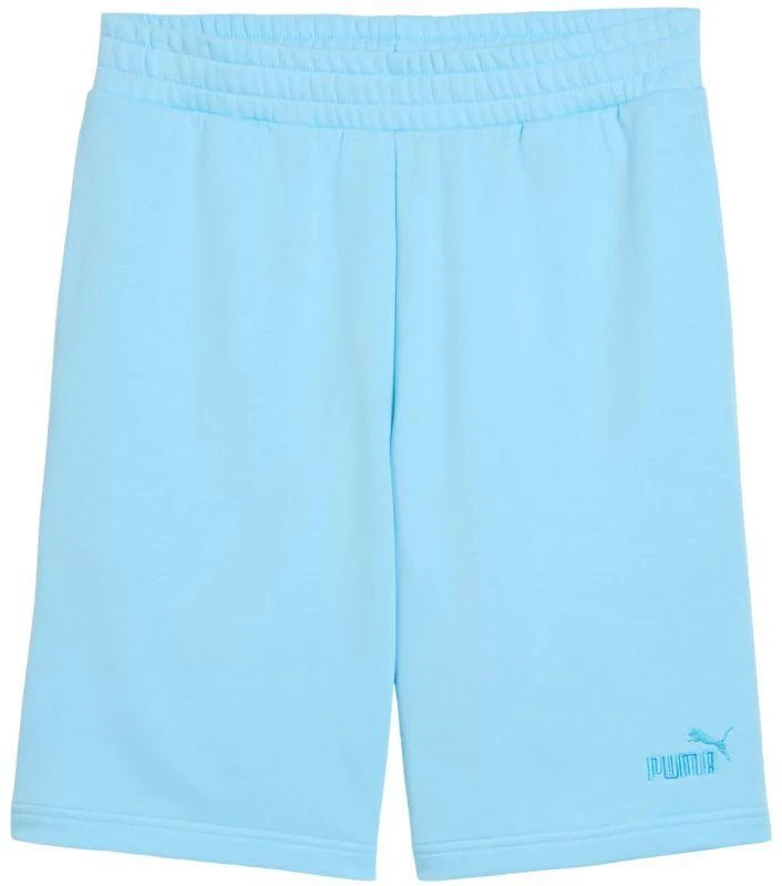 Vyriški šortai Puma ESS No.1 Logo 10" (S dydis), šviesiai mėlyni, 682595 45