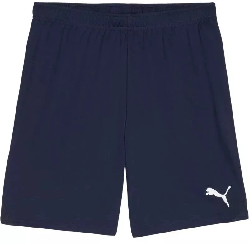 Vyriški šortai Puma Team Goal Tamsiai mėlyna 705752 06 Puma