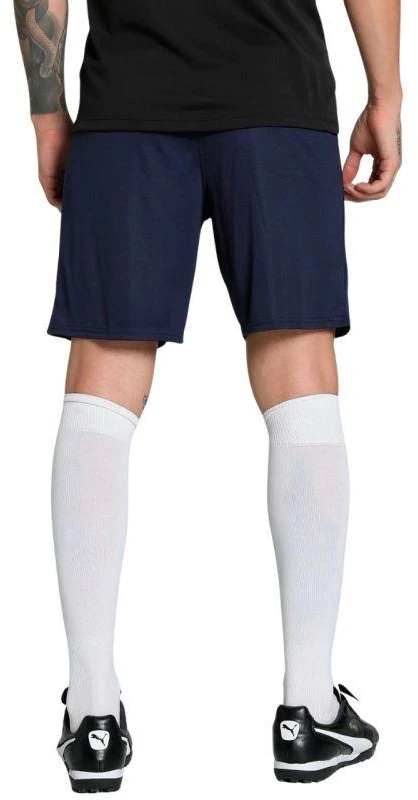 Vyriški šortai Puma Team Goal Tamsiai mėlyna 705752 06 Puma