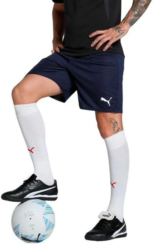Vyriški šortai Puma Team Goal Tamsiai mėlyna 705752 06 Puma