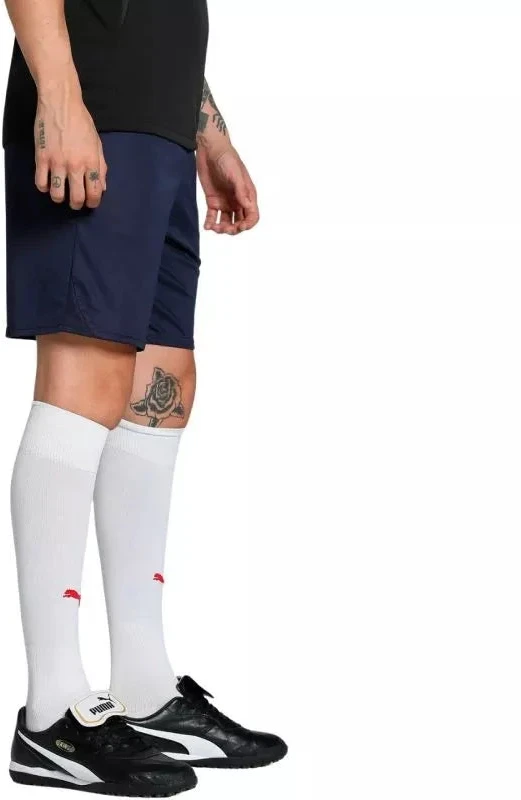 Vyriški šortai Puma Team Goal Tamsiai mėlyna 705752 06 Puma