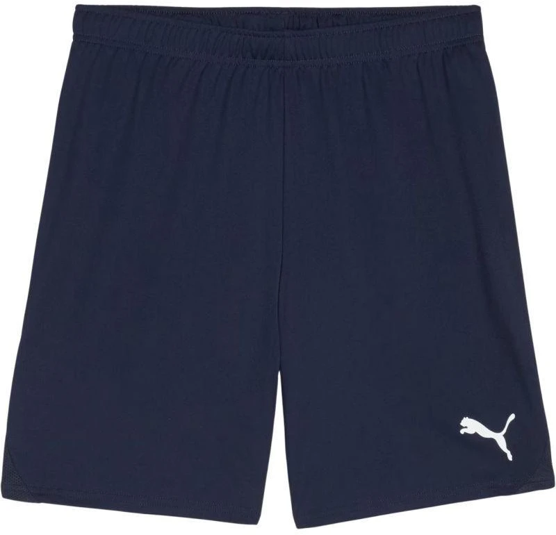Vyriški šortai Puma Team Goal Tamsiai mėlyna 705752 06 Puma