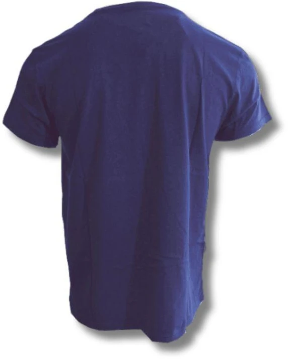 Vyriški sportinio stiliaus marškinėliai Ace Arch Navy - 10295700-2222-Navy Wood Wood