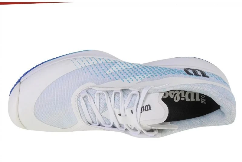 Vyriški teniso bateliai Wilson Kaos Swift 1.5 Clay, balti