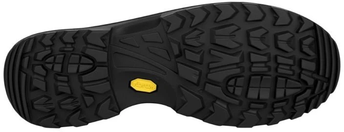Vyriški žygio batai Lowa Renegade GTX Mid, kavos