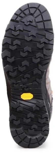 Vyriški žygio batai Salewa Alp Trainer 2 Mid GTX, smėlio