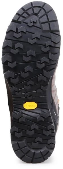 Vyriški žygio batai Salewa Alp Trainer 2 Mid GTX, smėlio