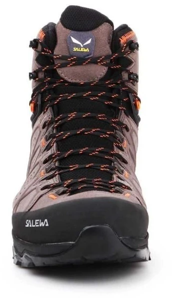 Vyriški žygio batai Salewa Alp Trainer 2 Mid GTX, smėlio