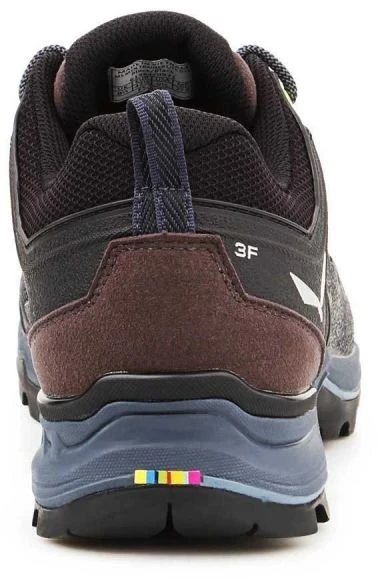 Vyriški žygio batai Salewa MTN Trainer Lite GTX
