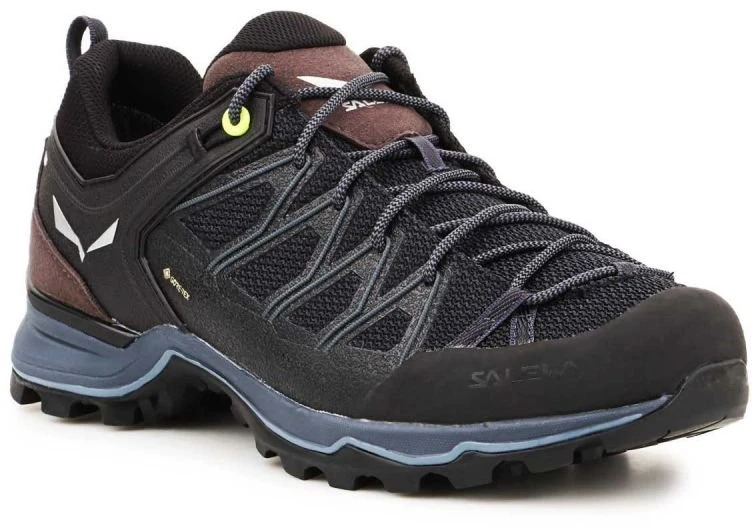 Vyriški žygio batai Salewa MTN Trainer Lite GTX