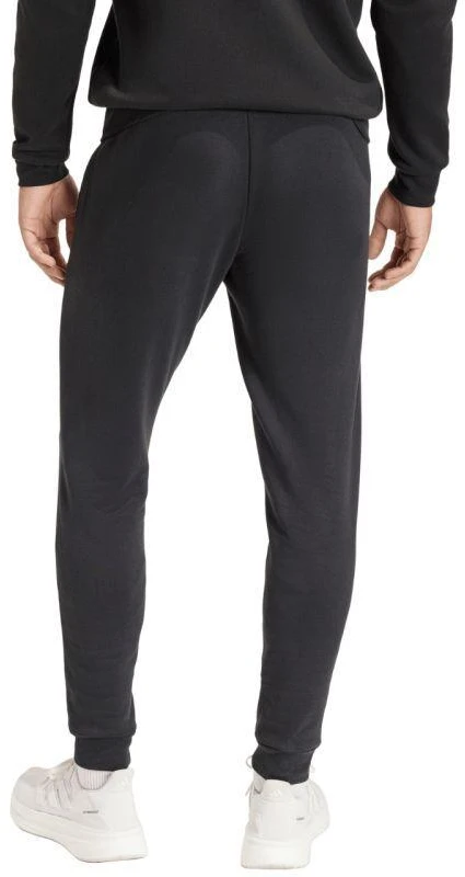 Vyriškos adidas Entrada 26 sportinės kelnės juodos JZ9138